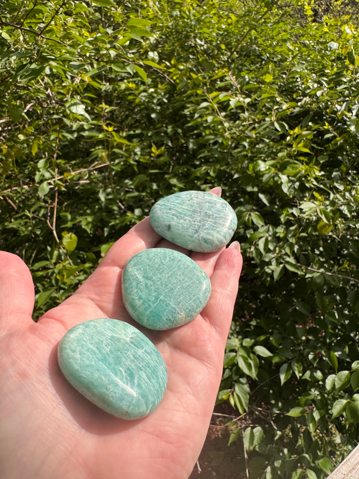 Amazonite Palm Stone Large Flat