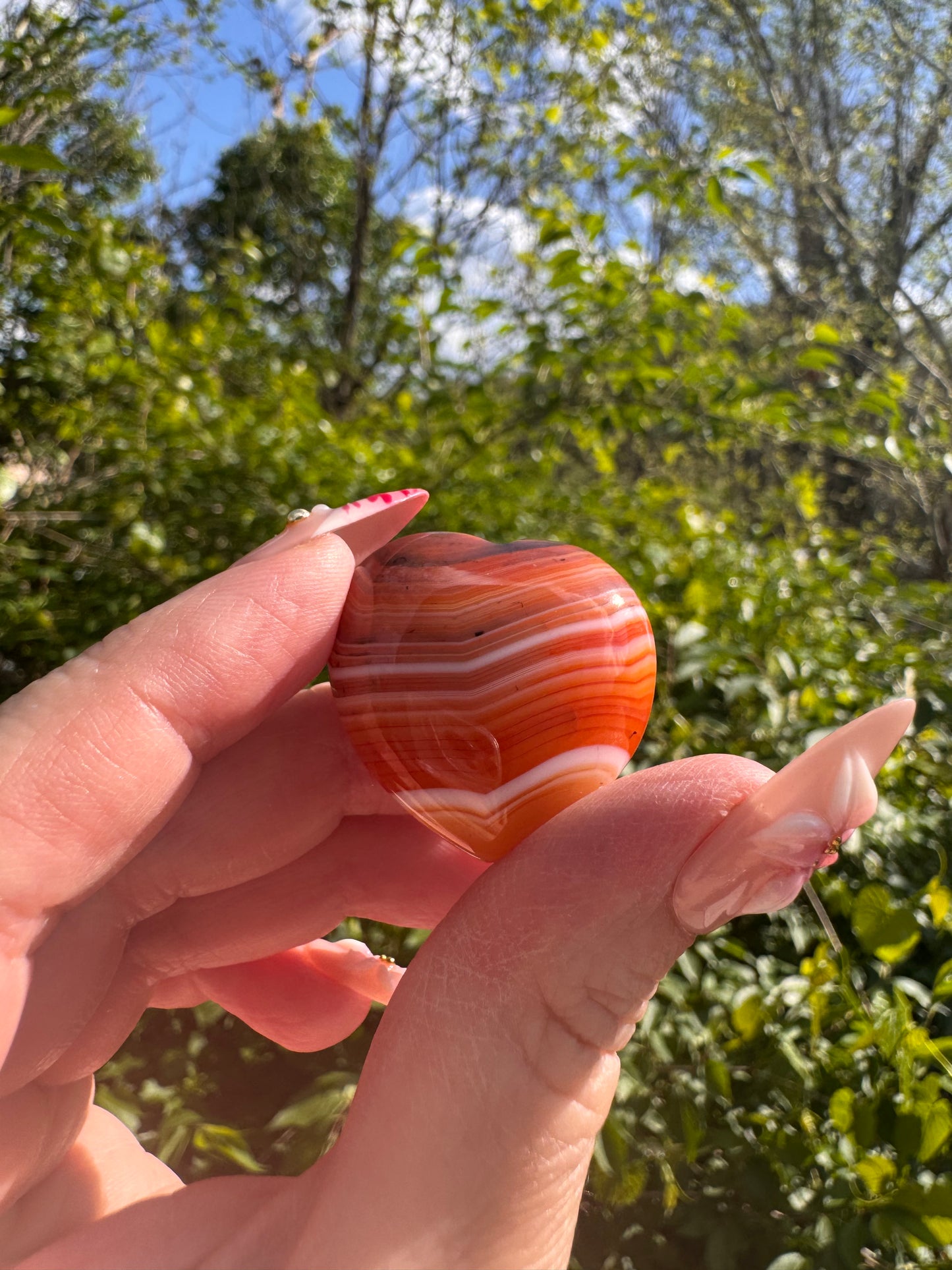 Carnelian Hearts