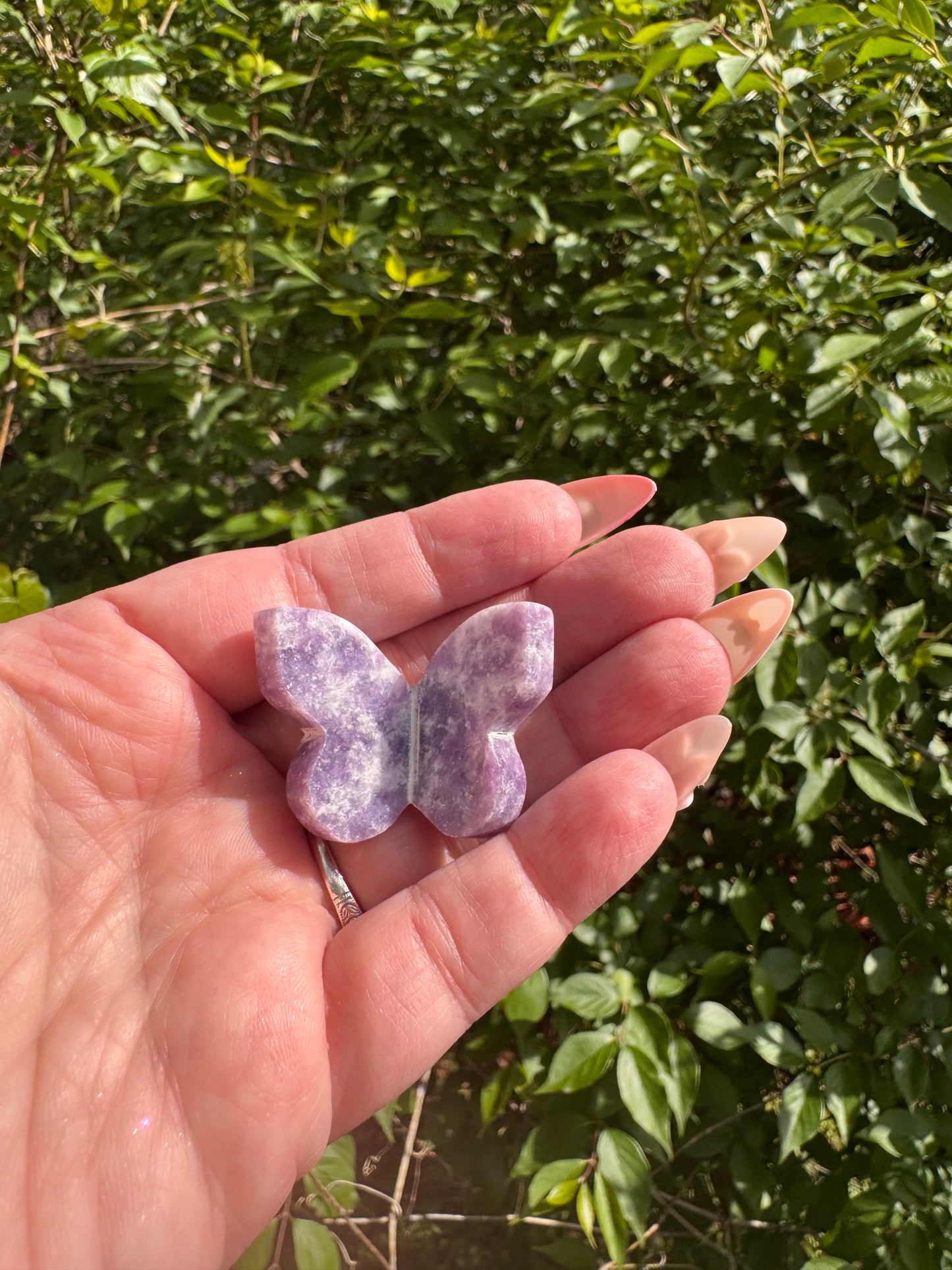 Lepidolite Butterfly Mini