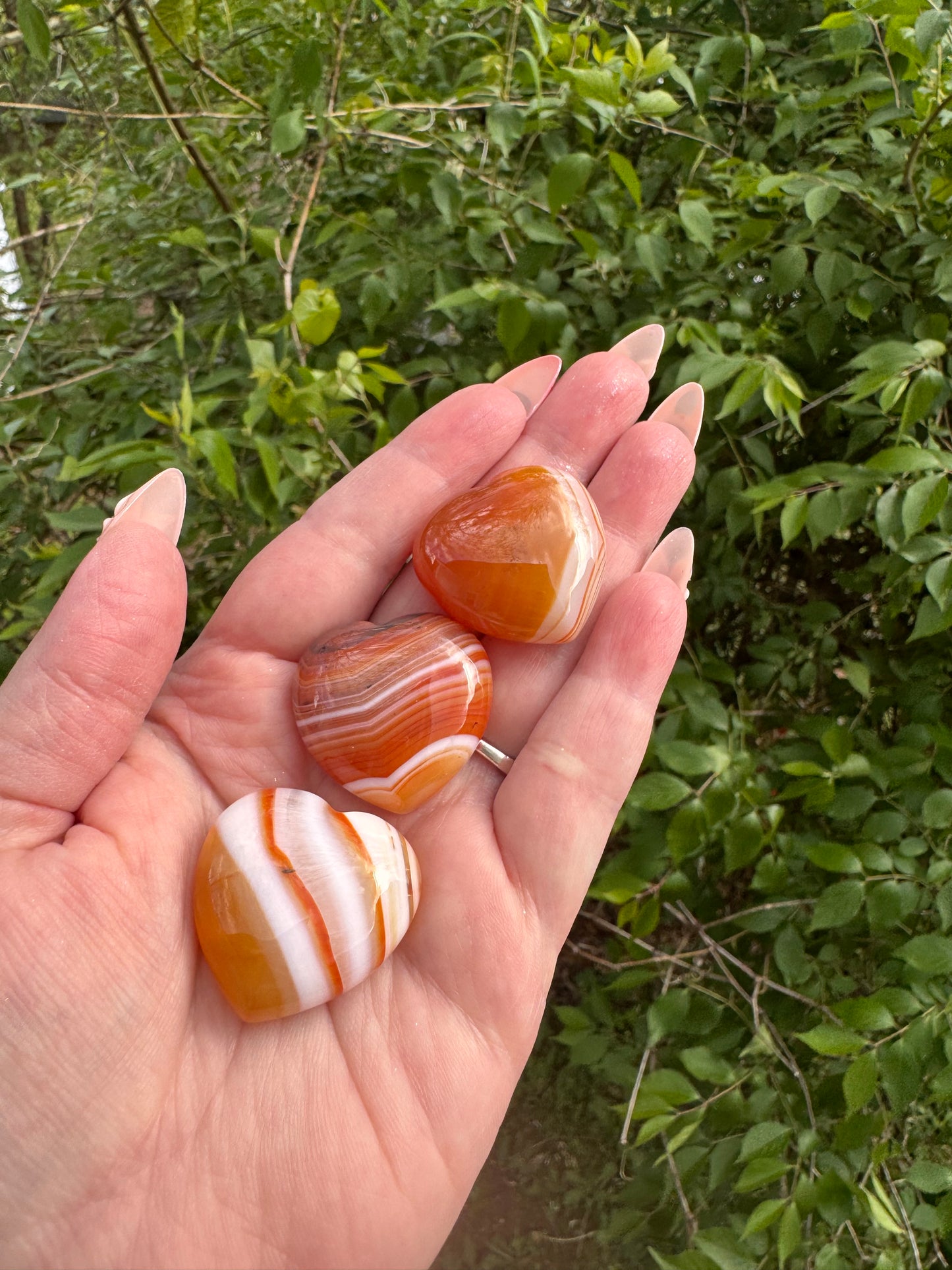 Carnelian Hearts