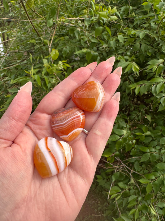 Carnelian Hearts