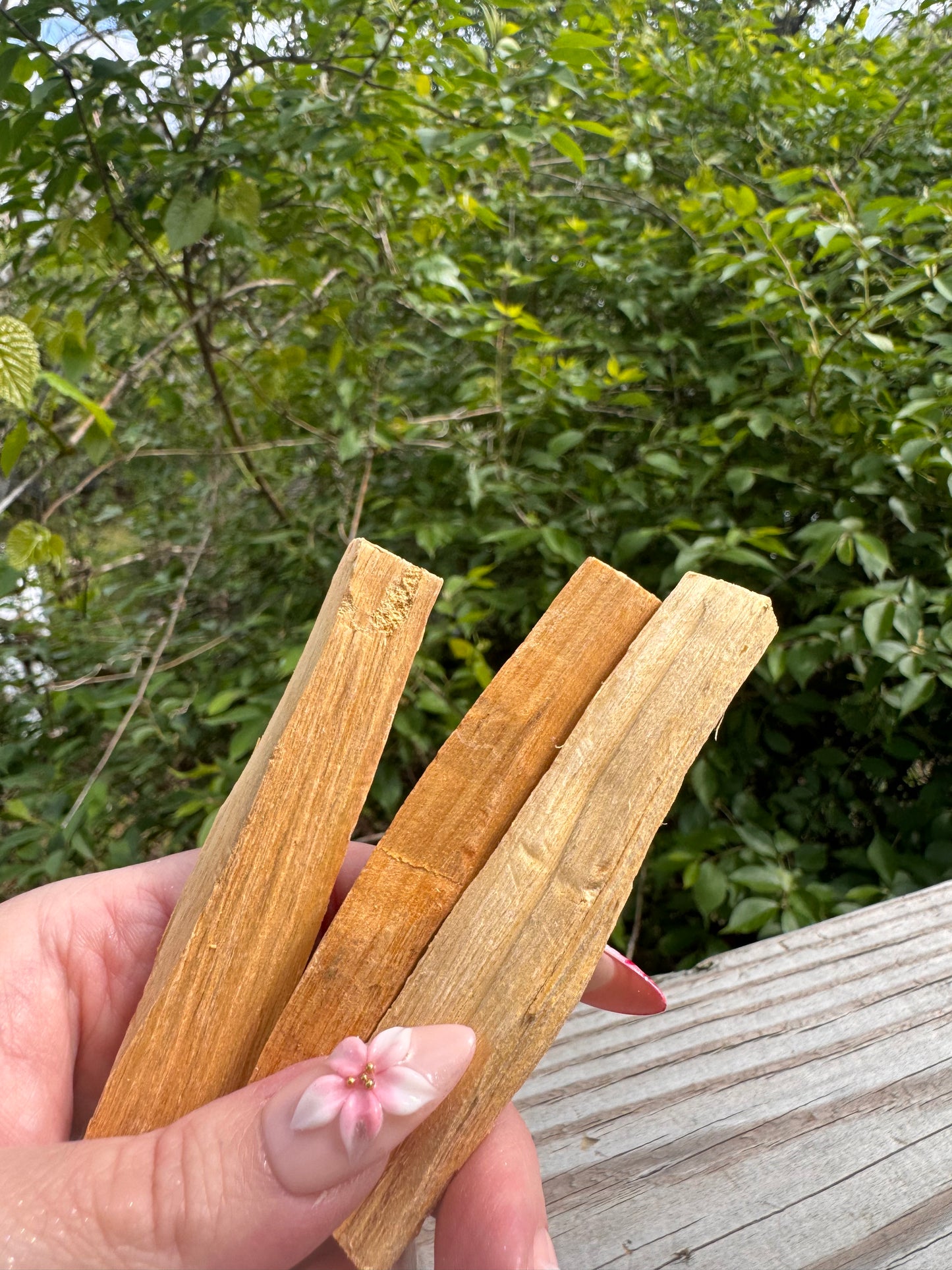 Palo Santo Sticks