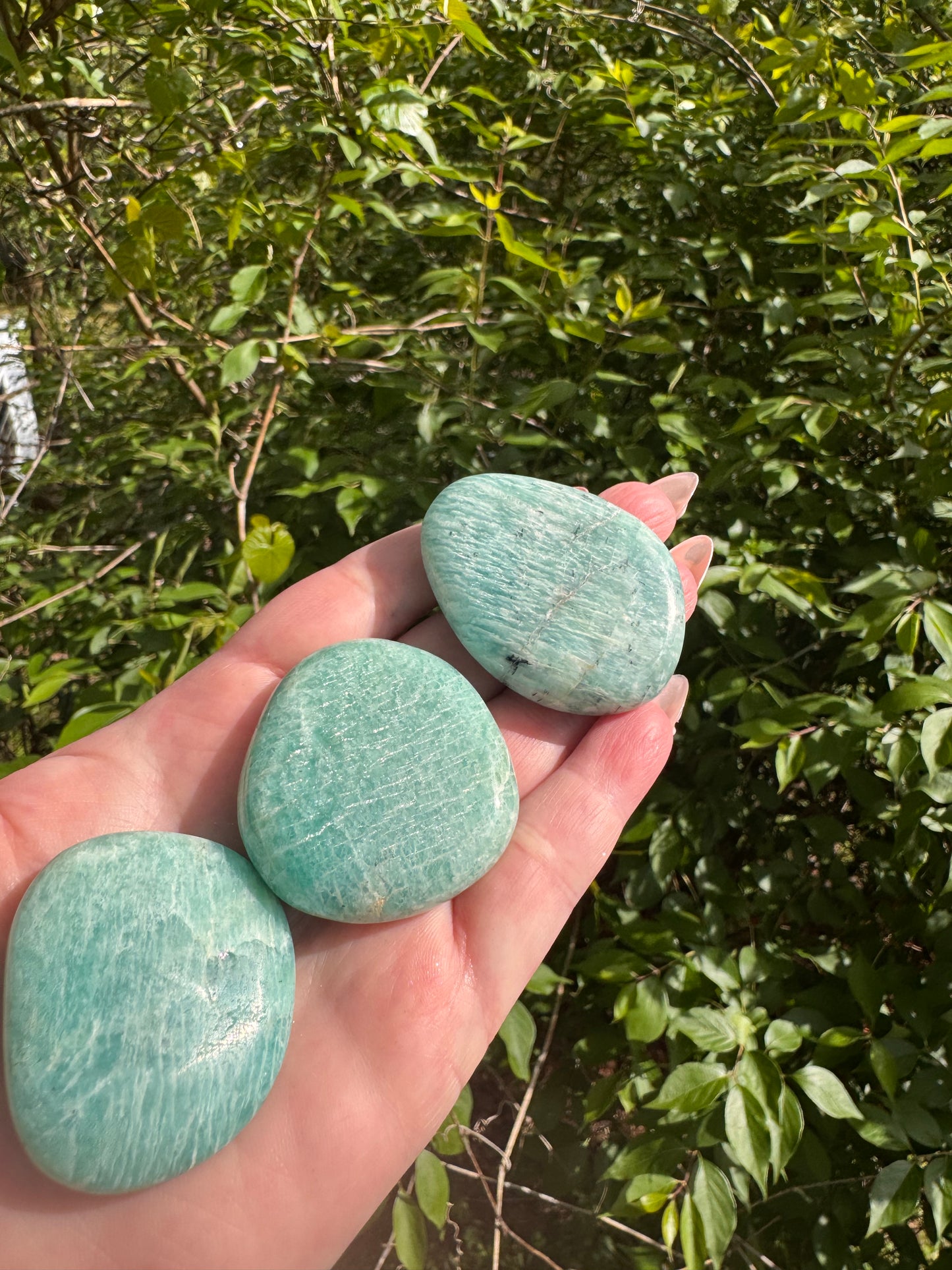 Amazonite Palm Stone Large Flat