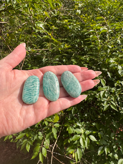 Amazonite Palm Stone Small Flat