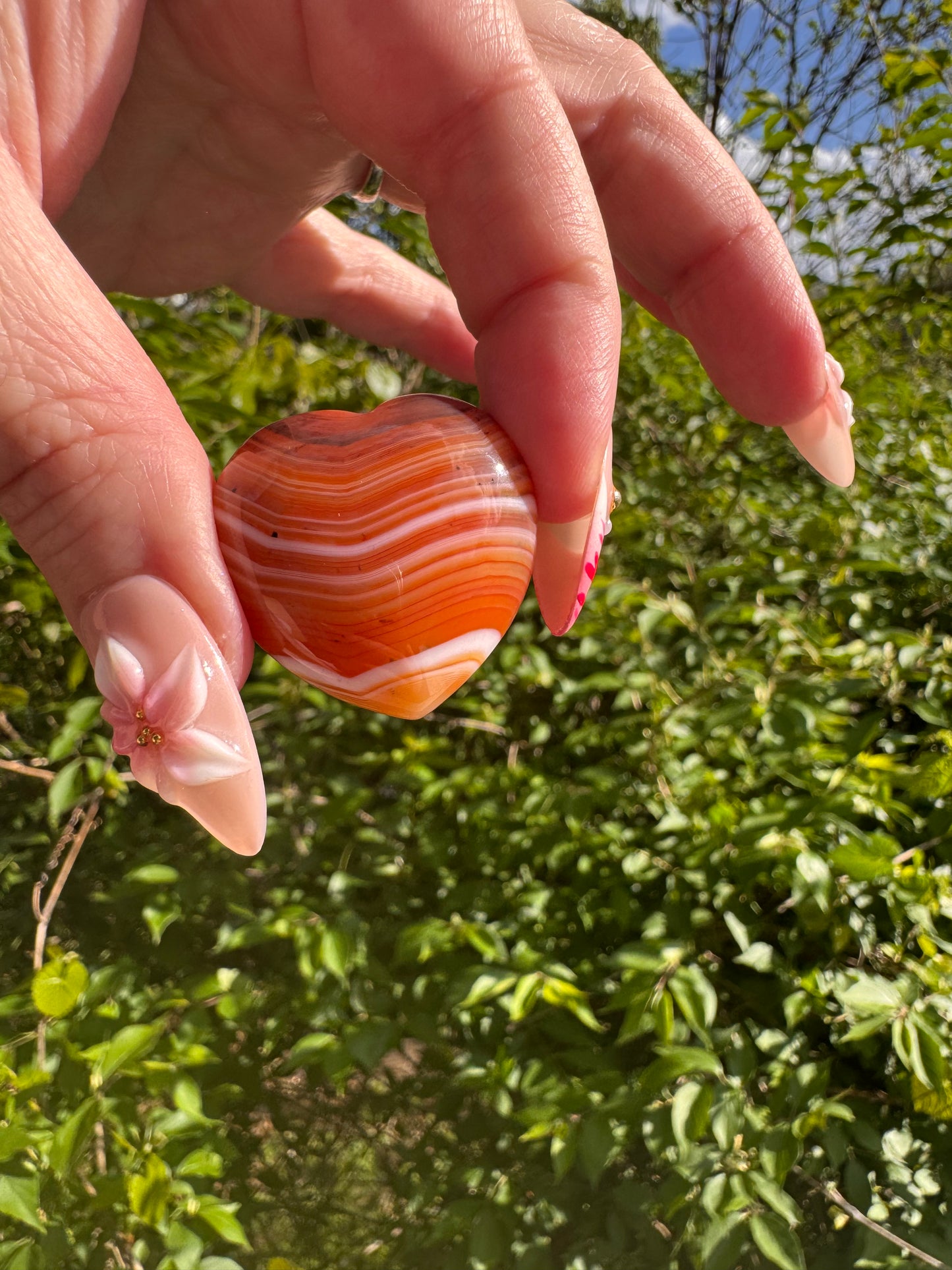Carnelian Hearts
