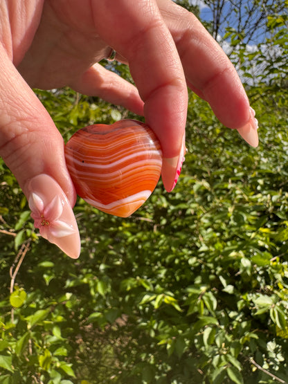 Carnelian Hearts