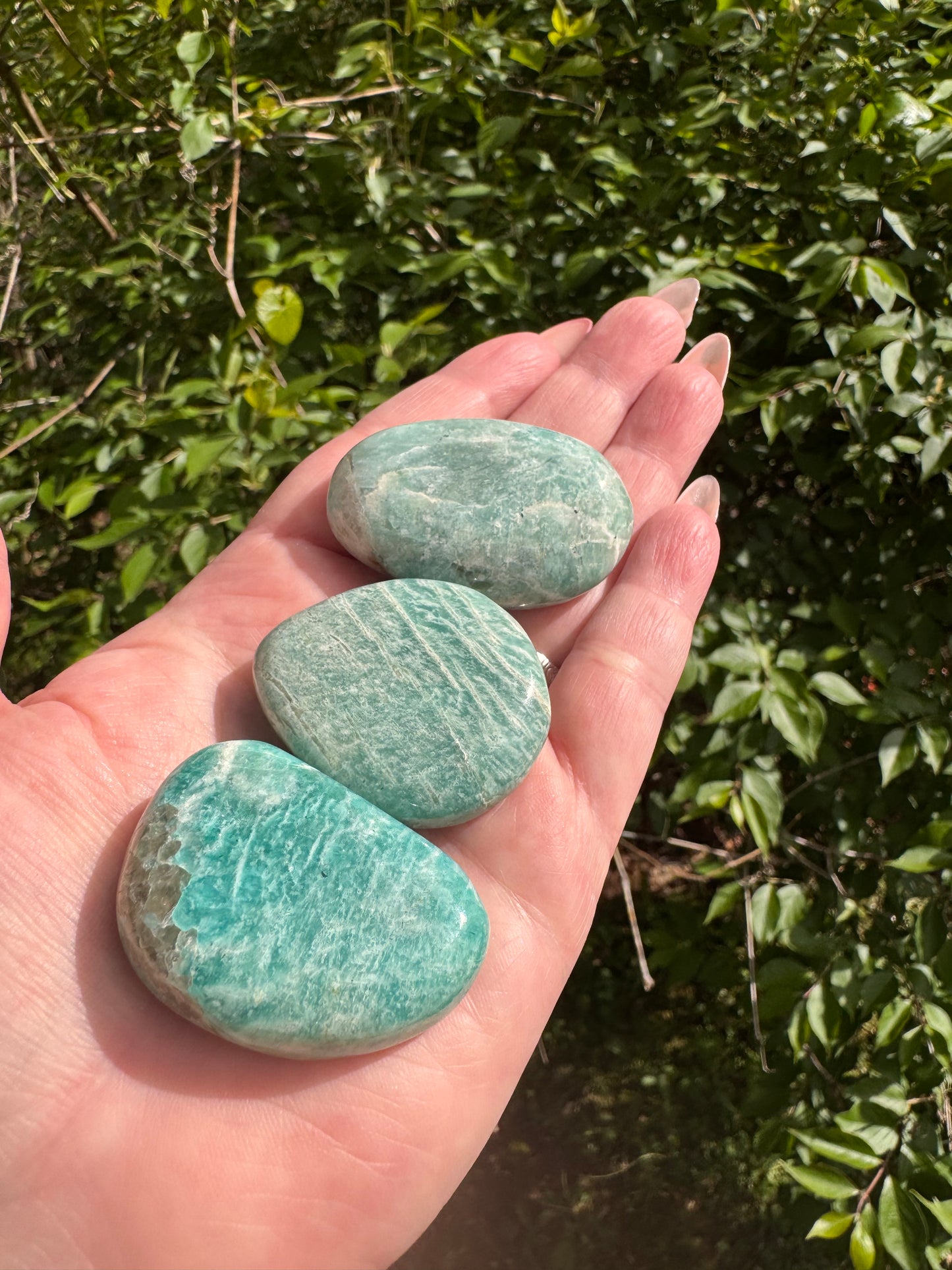 Amazonite Palm Stone Large Flat