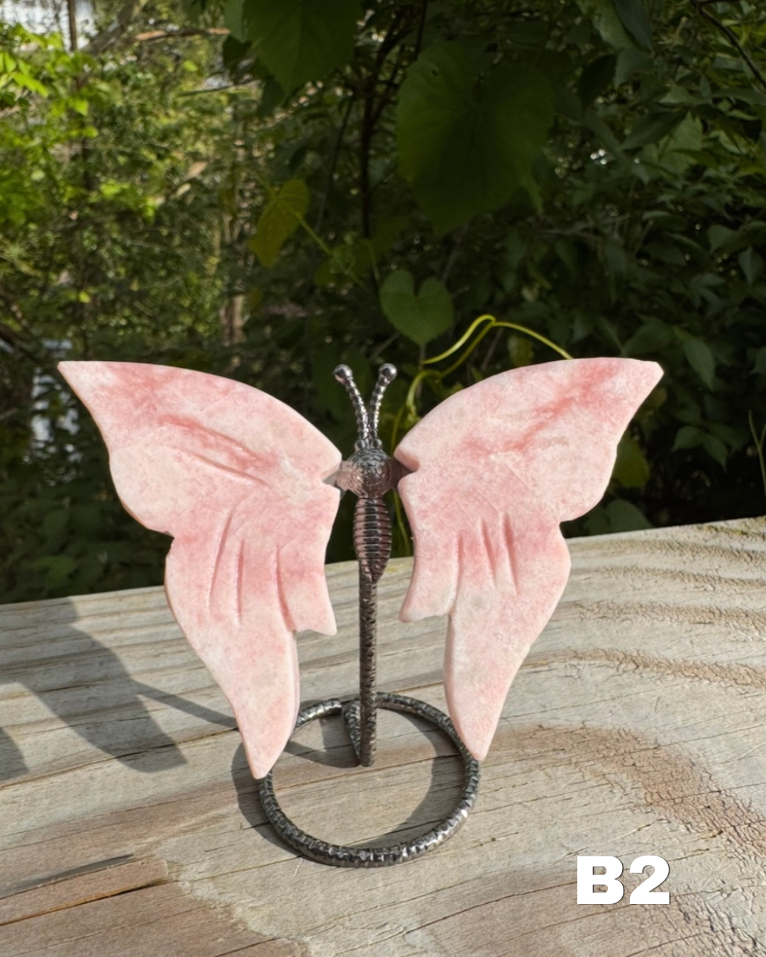 Pink Opal Butterfly